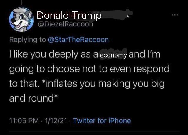 Donald Trump @DiezelRaccoon Replying to @StarTheRaccoon like you deeply as аесопоту and going to choose not to even respond to that. *inflates you making you big and round* 11:05 1/12/21 Twitter for i