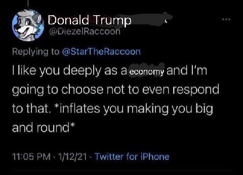 Donald Trump @DiezelRaccoon Replying to @StarTheRaccoon like you deeply as аесопоту and going to choose not to even respond to that. *inflates you making you big and round* 11:05 1/12/21 Twitter for i