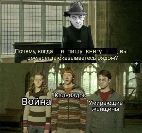 __.__.Почему, когда я пишу книгу ВЫ трое.всегда оказываетесь рядом? 4% ИТЛ Кальвадос- Воина `Умирающие женщины