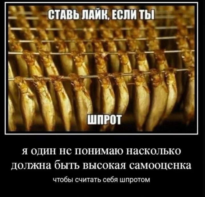 СТАВЬ ЛАИК, ЕСЛИ Thi 4 А ШПРОТ Я ОДИН ПОНИМаю Насколько должна ObITb высокая самооценка чтобы считать себя шпротом