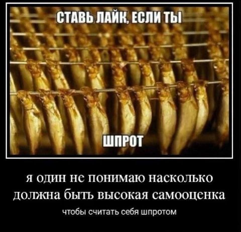 СТАВЬ ЛАИК, ЕСЛИ Thi 4 А ШПРОТ Я ОДИН ПОНИМаю Насколько должна ObITb высокая самооценка чтобы считать себя шпротом