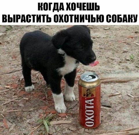 КОГДА ХОЧЕШЬ ВЫРАСТИТЬ ОХОТНИЧЬЮ СОБАКУ 2
