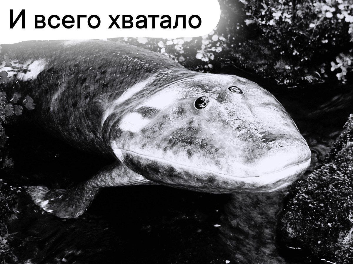 И всего хватало