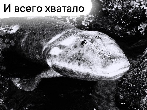 И всего хватало