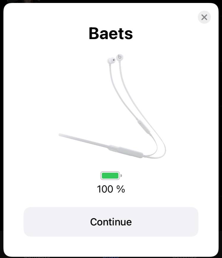 Baets 100 Continue
