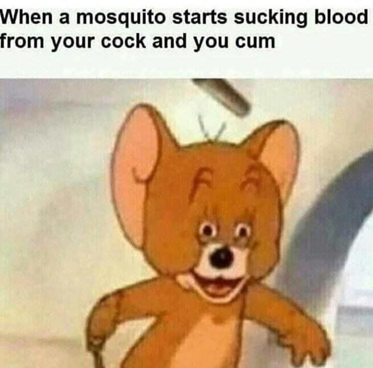 When a mosquito starts sucking blood from your cock and you cum