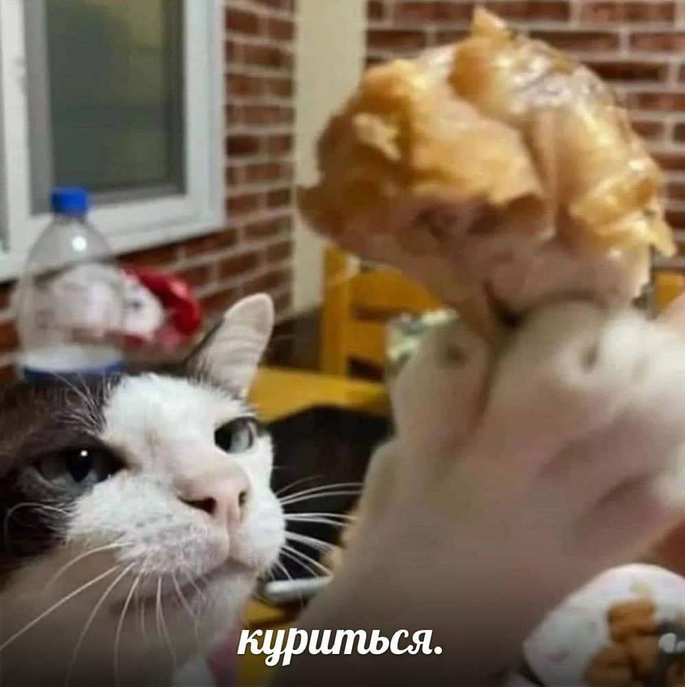 куриться.