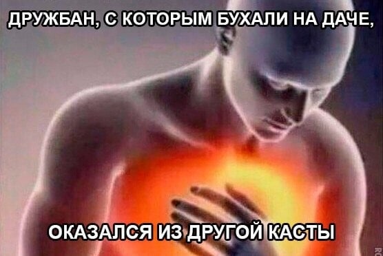 ДРУЖБАН, С КОТОРЫМ БУХАЛИ НА ДАЧЕ. a ОКАЗАЛСЯ ИЗ ДРУГОЙЖАСТЬ i