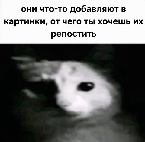 они что-то добавляют в картинки, от чего ты хочешь репостить