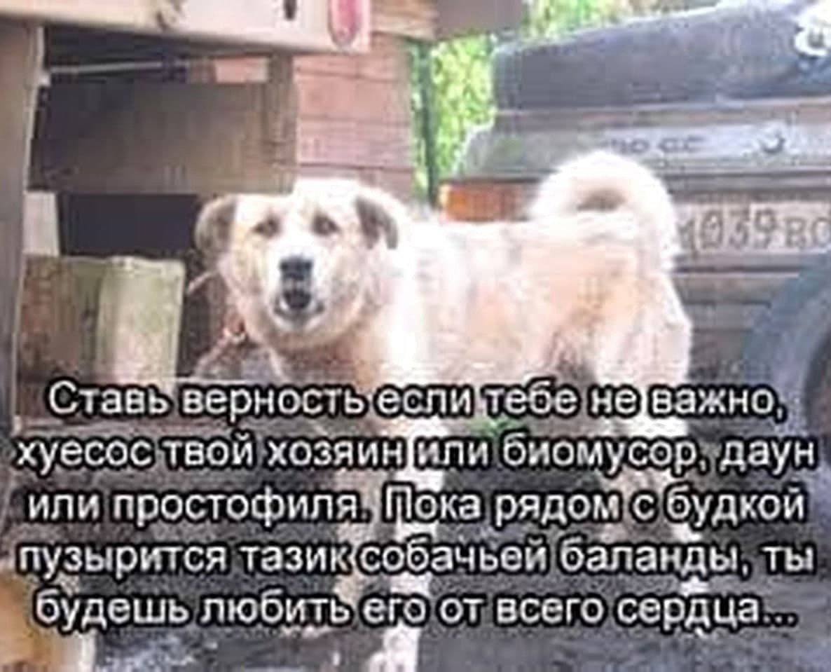 #1 hay Ставь вернос ть'еспи тесе He важно. хуесос Заин апио; даун или простофиля ока рядом рится тазик Ты! OYAELUb любить его от всего сердца у