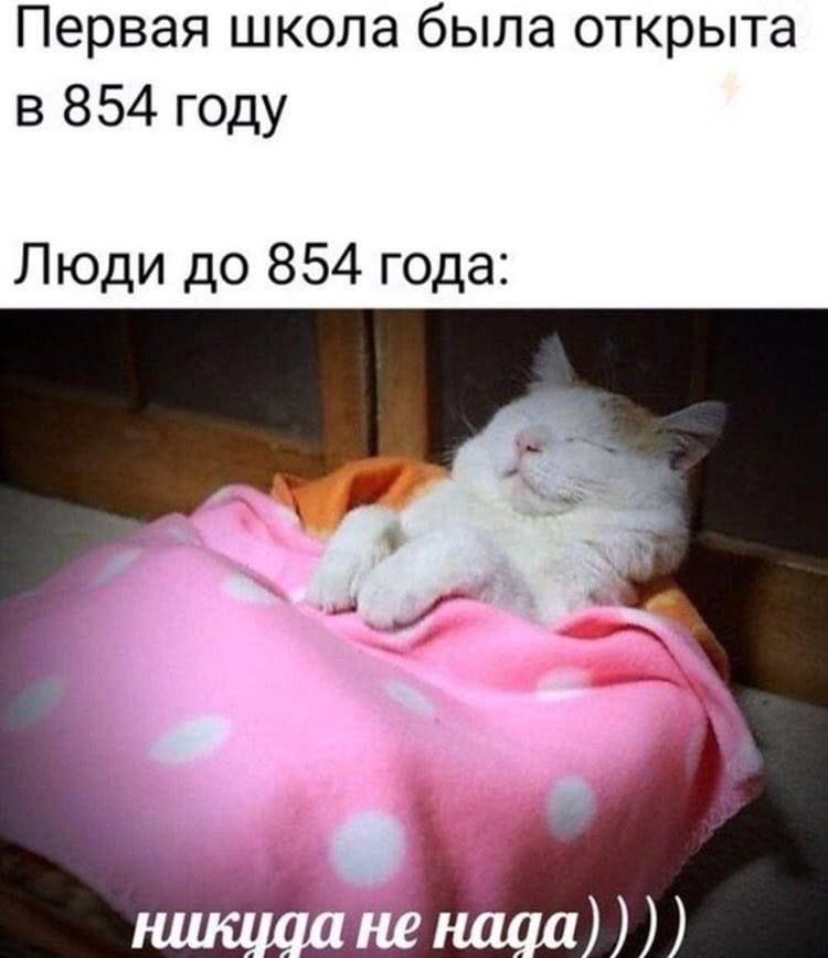Первая школа была открыта в 854 году Люди до 854 года: цаа не надс
