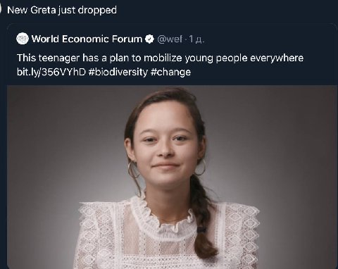 New Greta just dropped World Economic Forum This teenager has a plan to mobilize young people everywhere #biodiversity #change