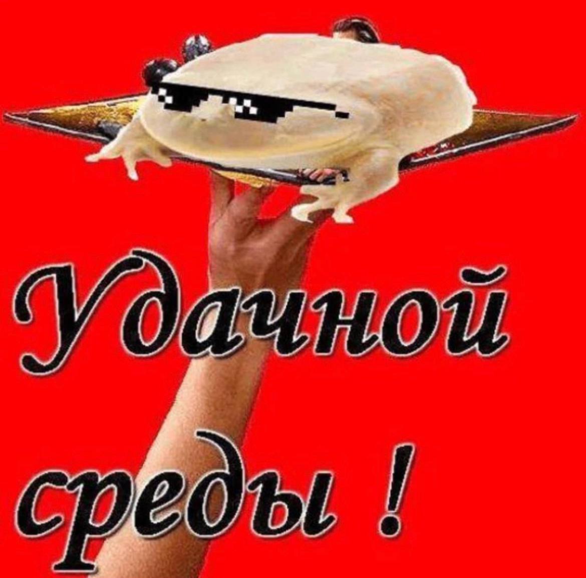 среды
