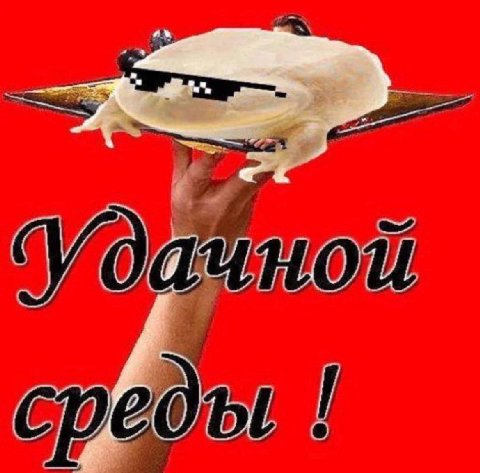 среды