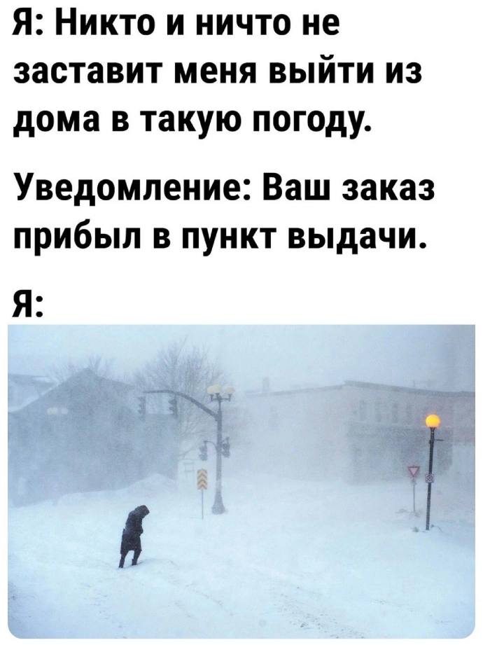 Я: Никто и ничто не заставит меня выйти из дома в такую погоду. Уведомление: Ваш заказ прибыл в пункт выдачи. Я:
