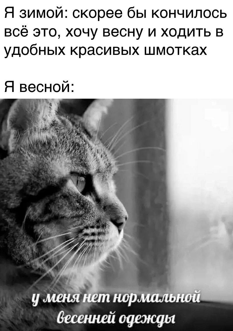 Я зимой: скорее бы кончилось всё это, хочу весну и ходить в удобных красивых шмотках Я весной: меня нет нор бесенней