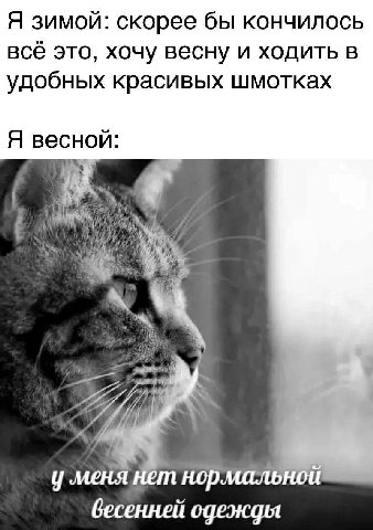 Я зимой: скорее бы кончилось всё это, хочу весну и ходить в удобных красивых шмотках Я весной: меня нет нор бесенней