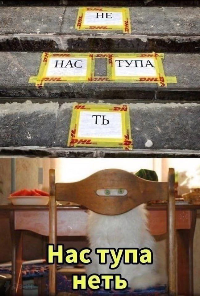 Нас тупа неть