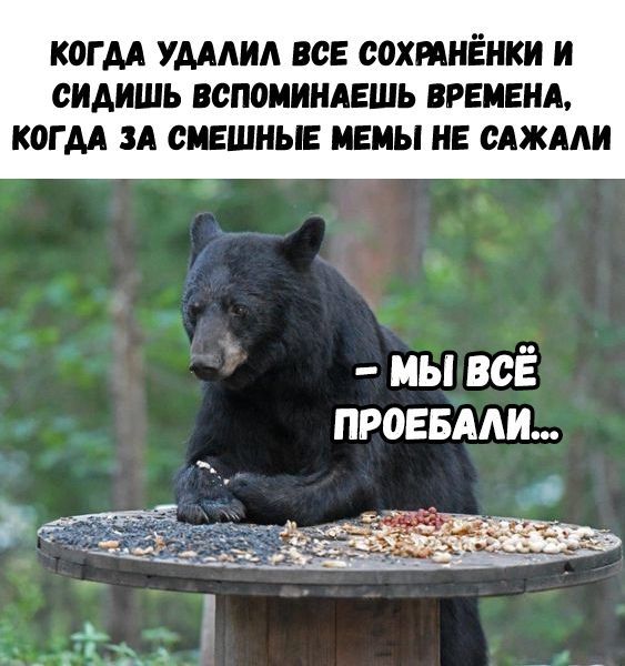КОГДА УДАЛИЛ ВСЕ СОХРАНЁНКИ И СИДИШЬ ВСПОМИНАЕШЬ ВРЕМЕНА, КОГДА ЗА СМЕШНЫЕ МЕМЫ НЕ САЖАЛИ МЫ ВСЕ ПРОЕБАЛИ... a