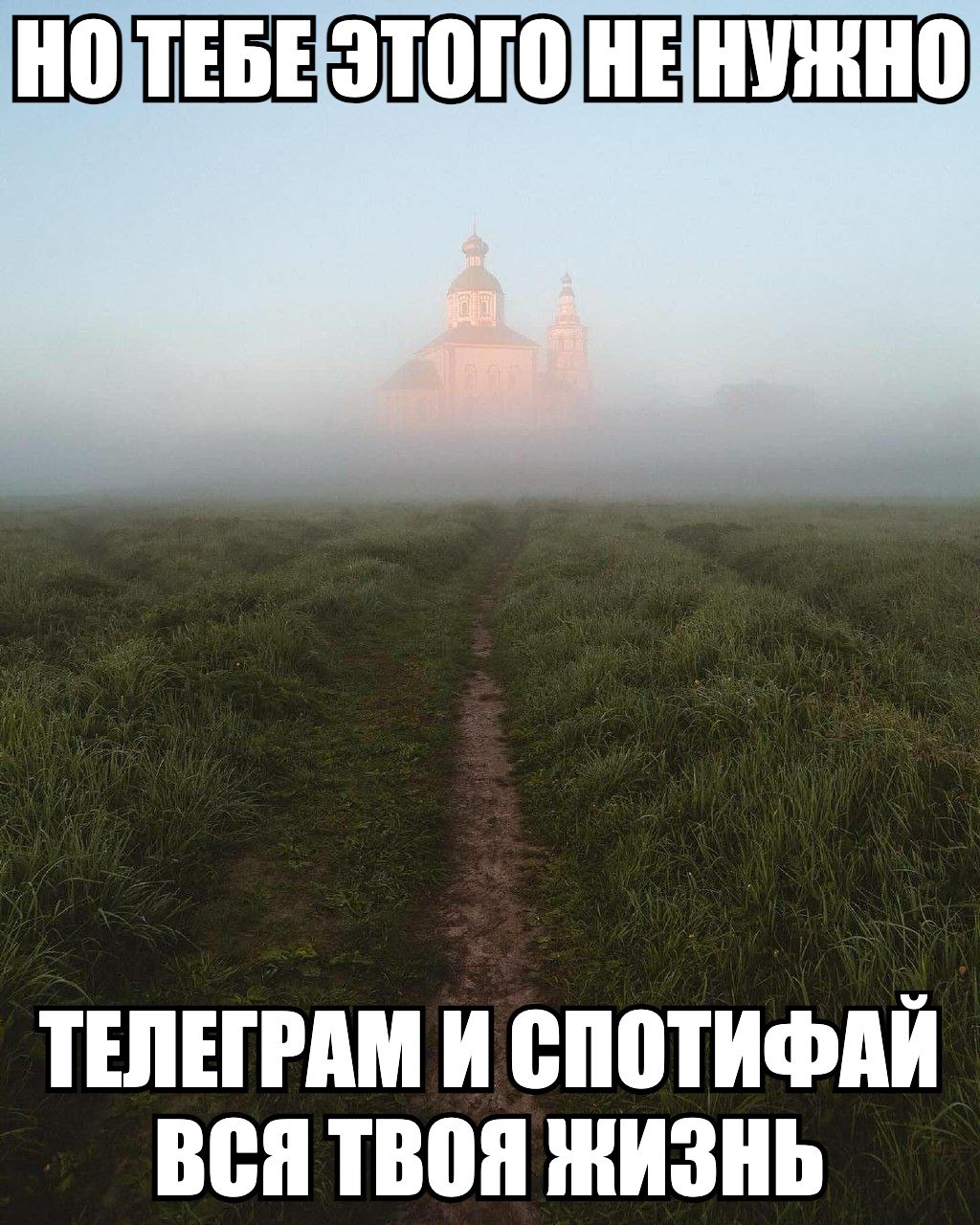 НЕ ТЕЛЕГРАМ И СПОТИФАЙ ВСЯ ТВОЯ ЖИЗНЬ