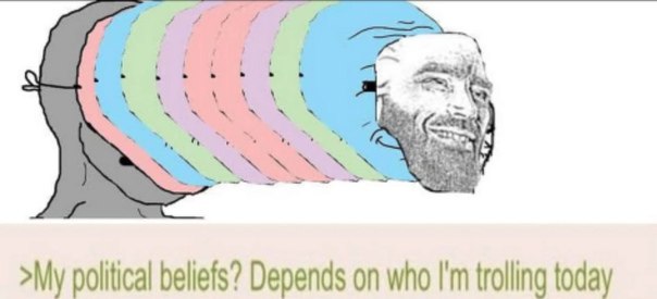 >My political beliefs? Depends on who trolling today