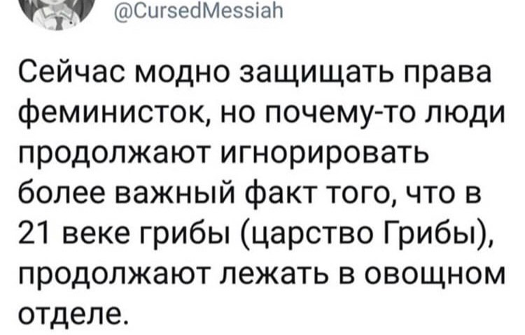 @CursedMessiah Сейчас модно защищать права феминисток, но почему-то люди продолжают игнорировать более важный факт того, что в 21 веке грибы (царство Грибы), продолжают лежать в овощном отделе.