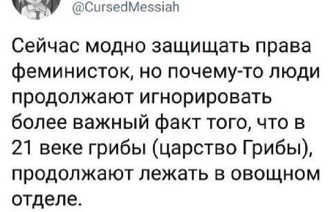 @CursedMessiah Сейчас модно защищать права феминисток, но почему-то люди продолжают игнорировать более важный факт того, что в 21 веке грибы (царство Грибы), продолжают лежать в овощном отделе.