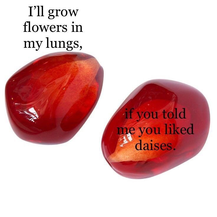 I'll grow flowers in my lungs, 3%