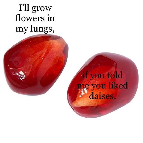I'll grow flowers in my lungs, 3%