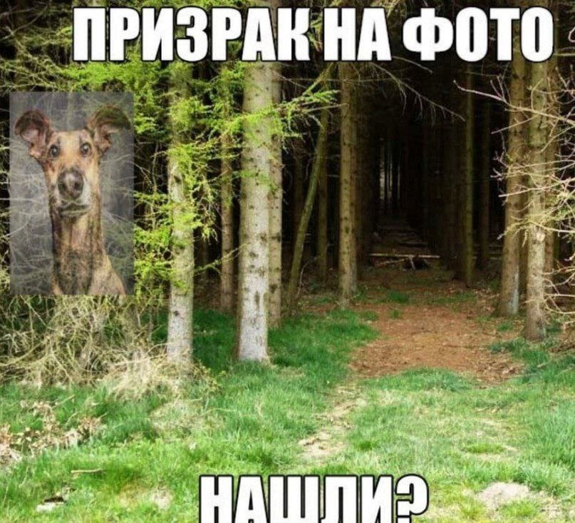 ПРИЗРАК НА ФОТО У ore 12. etd С he Son ahr