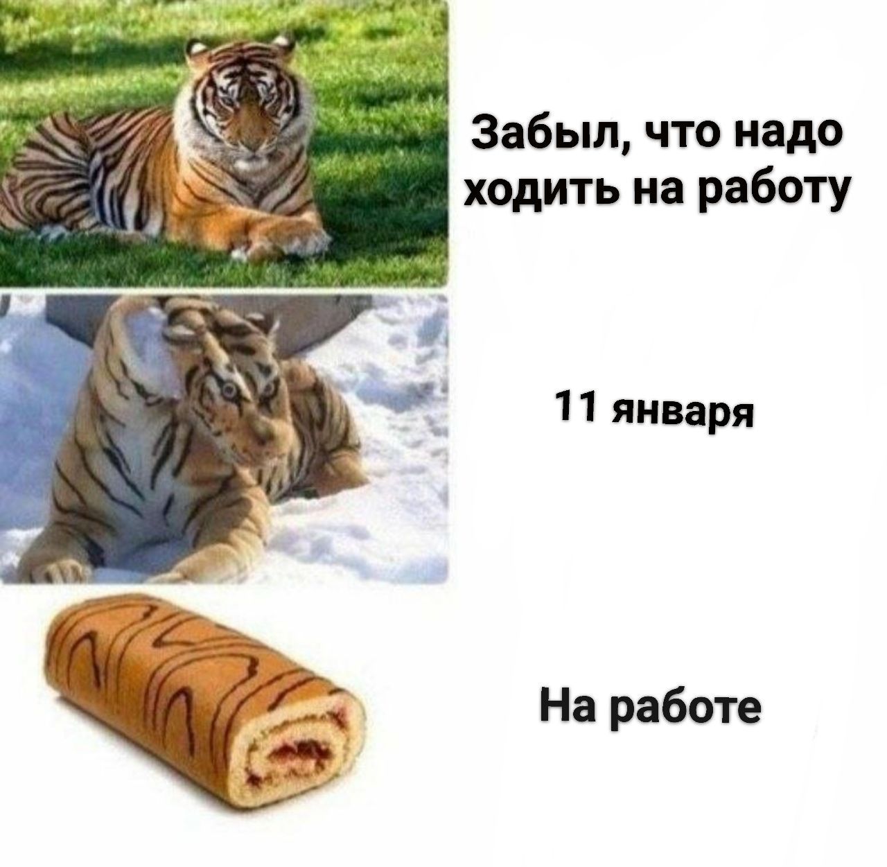 Забыл, что надо ходить работу 4 11 января На работе