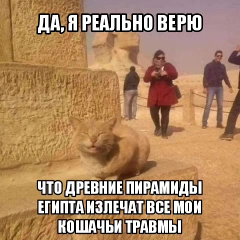 7) KOWIAUBH TPABMBI) ^ ) ПАяРЕАЛЬНОВЕРЮ ЧТО/ДРЕВНИЕ ПИРАМИДЫ _›_ КОШАЧЬИТРАВМЫЕ