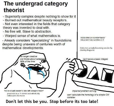 The undergrad category theorist Superiority complex despite nothing to show for it Burned out mathematical beauty receptors Not even interested in the fields that category theory was invented to deal 
