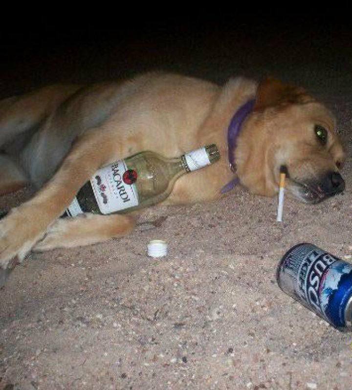 mood