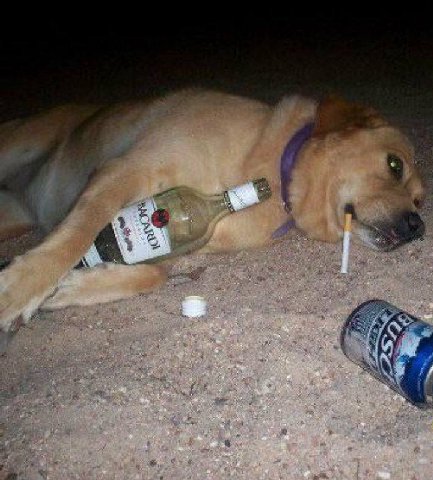 mood