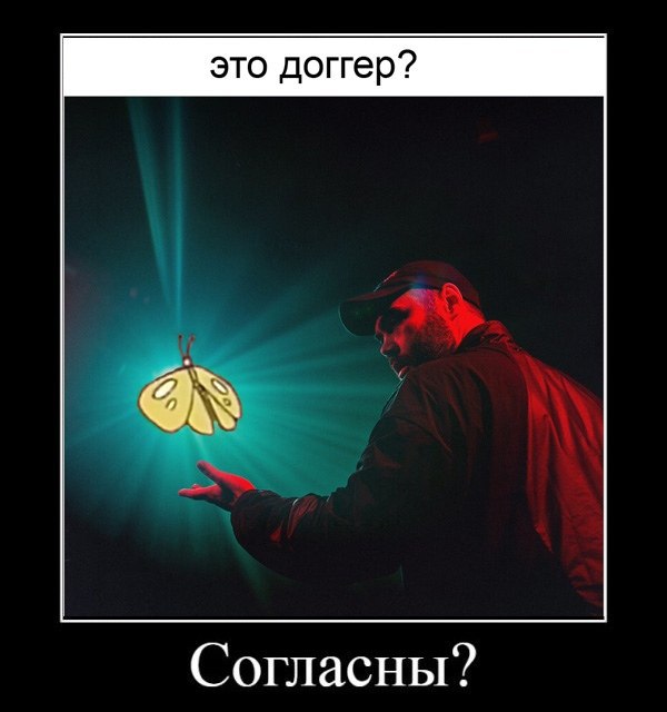 это доггер? Согласны?
