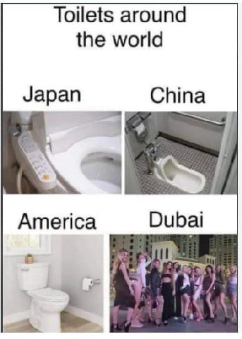 Toilets around the world Japan China 1 4 America Dubai 4