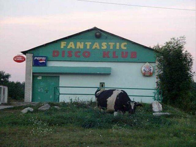 FANTASTIC