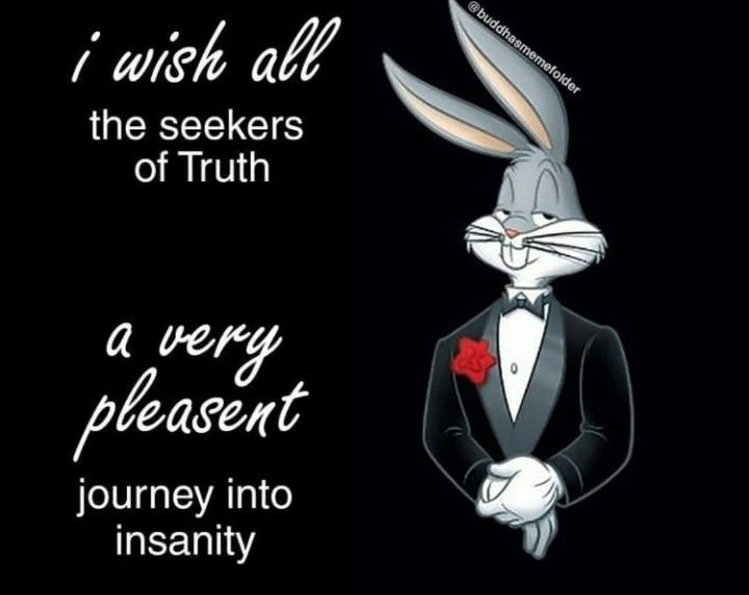 wish а the seekers of Truth very pleasent journey into insanity