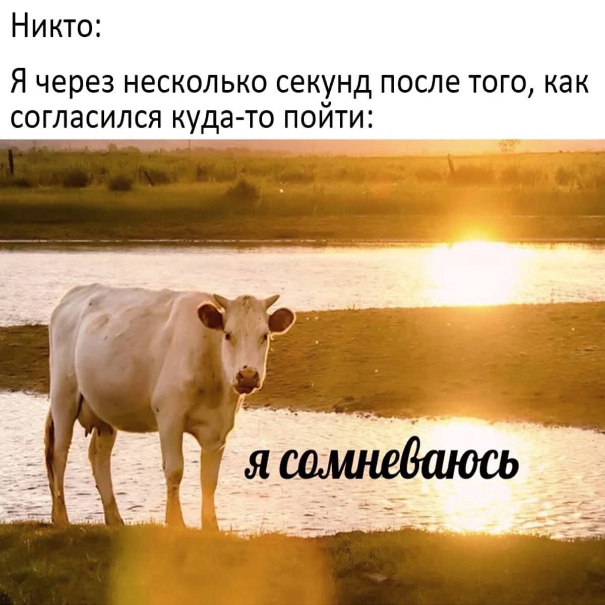 Никто: Я через несколько секунд после того, как согласился ТО я сомневаюсь