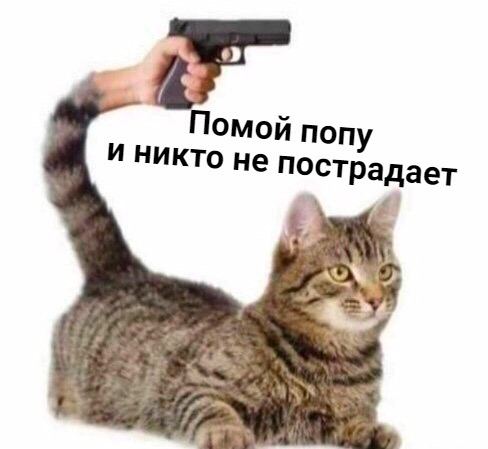 Помой non и никто не пострадает