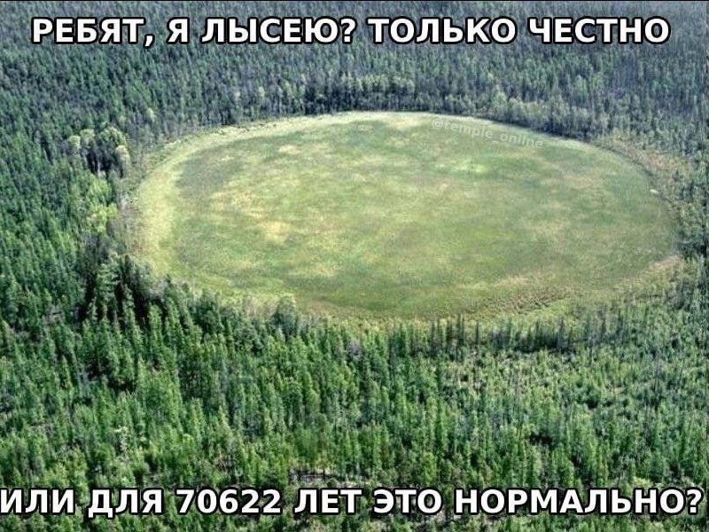 РЕБЯТ, Я ЛЫСЕЮ? ТОЛЬКО ЧЕСТНО ИЛИ ДЛЯ 70622 ЛЕТ ЭТО НОРМАЛЬНО?