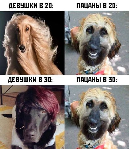 ДЕВУШКИ В 20: ПАЦАНЫ В 20: ДЕВУШКИ В 320: ПАЦАНЫ В 30: