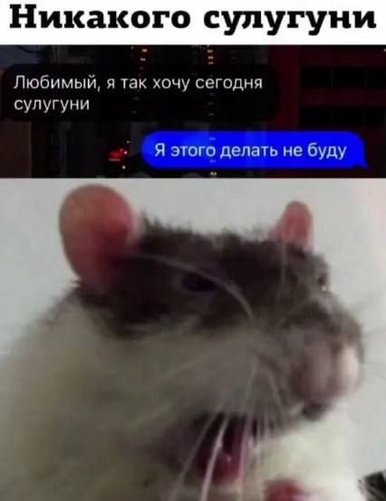 Никакого сулугуни Любимый, я так хочу сегодня сулугуни Я этого делать не буду
