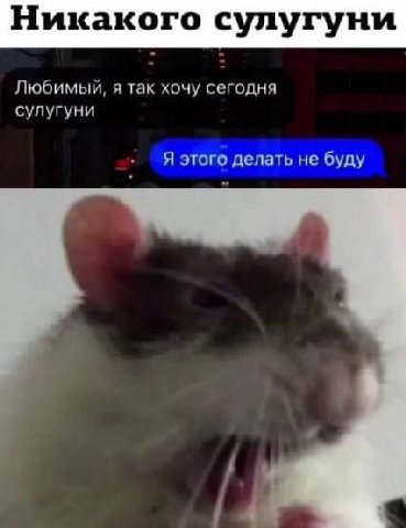 Никакого сулугуни Любимый, я так хочу сегодня сулугуни Я этого делать не буду