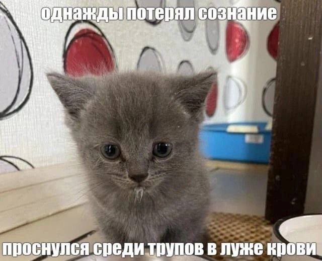 однажды потерял сознание проснулся среди трупов в луже крови.