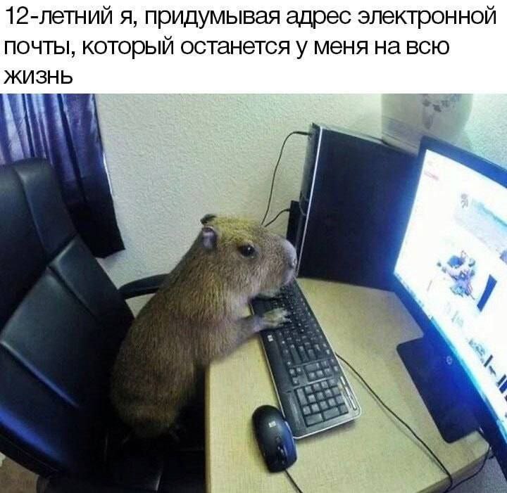 12-летний я, придумывая адрес электронной ПОЧТЫ, который останется у меня на всю ЖИЗНЬ 4