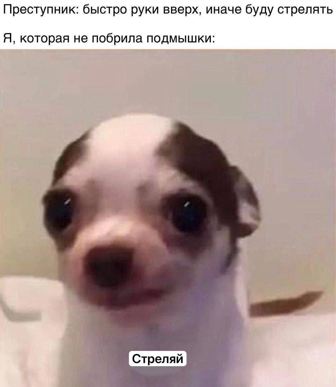 Преступник: быстро руки вверх, иначе буду стрелять Я, которая не побрила подмышки: