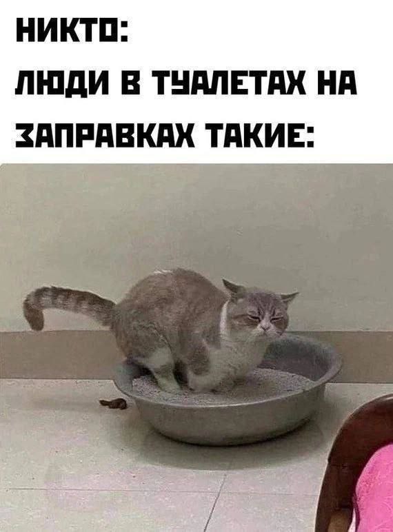 НИКТО: ЛЮДИ В ТУАЛЕТАХ НА ЗАПРАВКАХ ТАКИЕ: 5